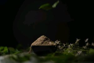 Natural Beauty Products